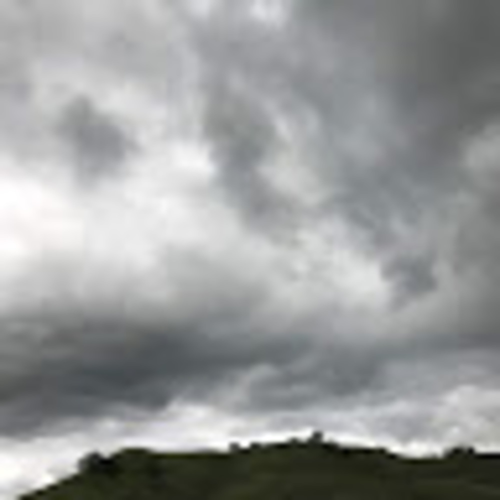 Meet your Posher, Paulina